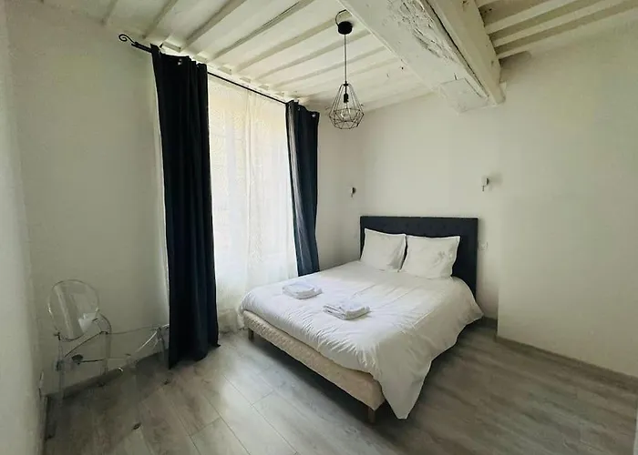 아파트 Spacieux De Charme En Hyper-centre *